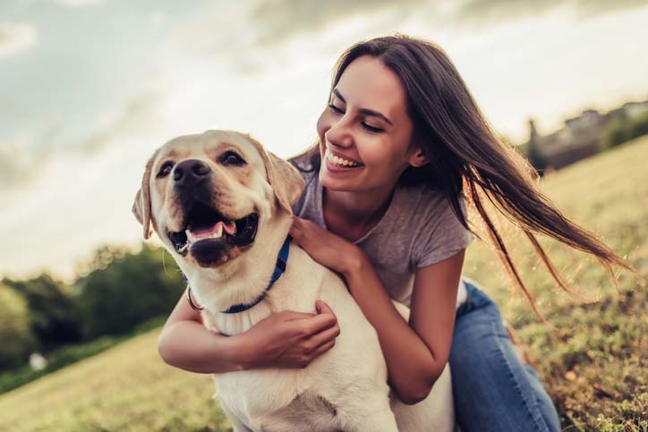 Dog run, treets and a facility with owners on property.